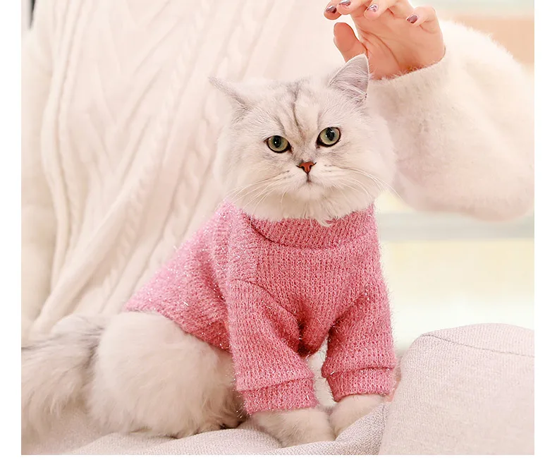 Одежда для котят Hoddies костюм домашних животных одежда с капюшоном кошек свитер