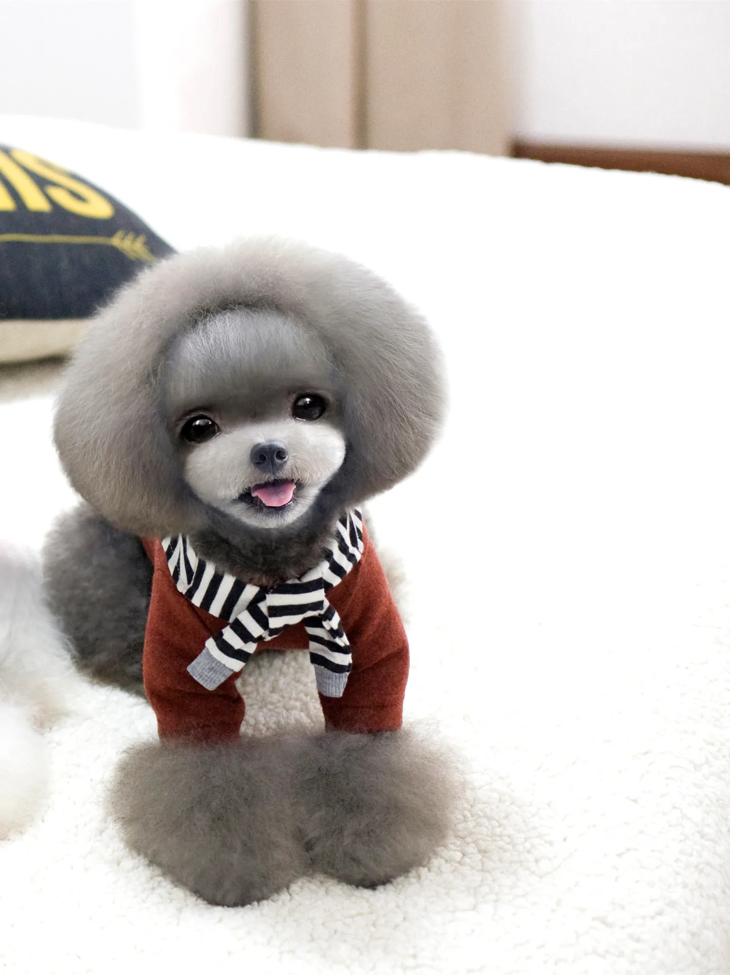 

Autumn winter shawl dog clothes colored cotton stripe fake shoulder pet T-shirt Teddy bottom coat pet clothes