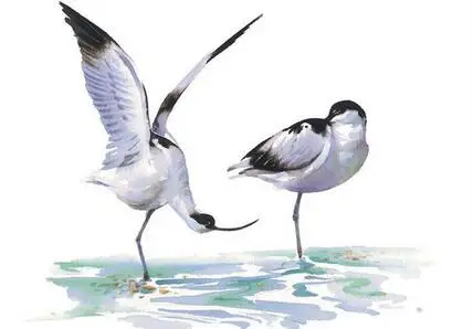 Больше стилей красивые птицы художественный шелковый постер для украшения стен