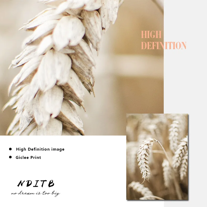 Одуванчик цветок трава природный пейзаж холст картина скандинавский Декор стены