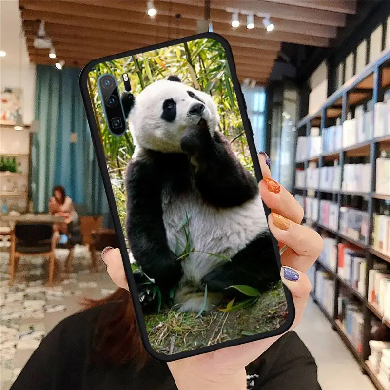 

Asian Baby Panda Bear China Phone Case For Huawei honor Mate P 9 10 20 30 40 Pro 10i 7 8 a x Lite nova 5t