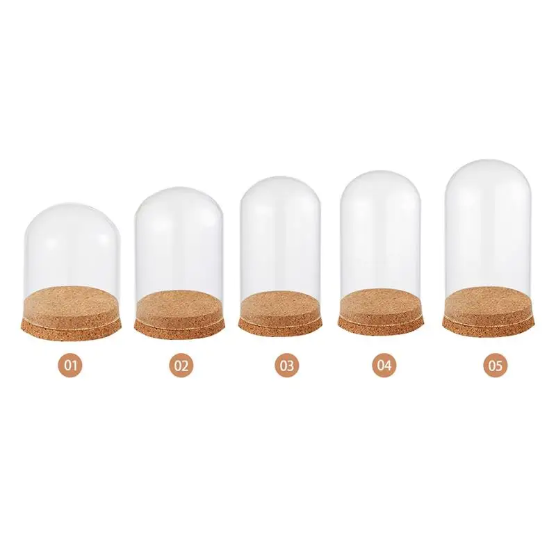 

Glass Dome Cover For Flower Succulent Plants Landscape Vase Terrarium Container Vase With Cork Dustproof Case Box Display Stand