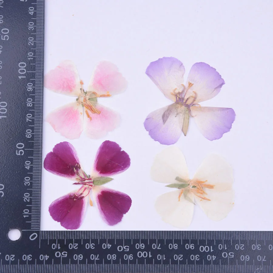 6pcs 4-5cm Pressed Dried Godetia Flowers Plants Herbarium For Jewelry Postcard Phone Case Photo Frame Bookmark Craft DIY | Дом и сад