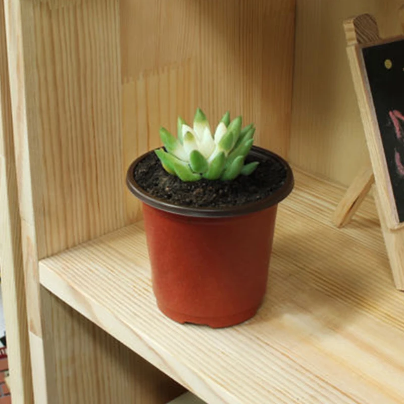 

Fall Plant Tray Pot 100pcs Set Decoration Red+Black Nursery Transplant