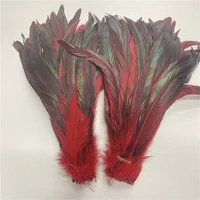 wholesale 100pcslot red rooster feathers 10 12inch25 30cm rooster feathers home dancers for plumas de faisan