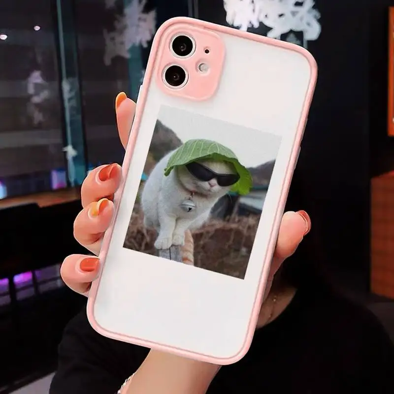 

Cute Cats New Year Gifts Phone Cases Matte For iPhone 12 Mini 11 Pro XR XS Max 7 8 Plus X Hard PC Back Cover
