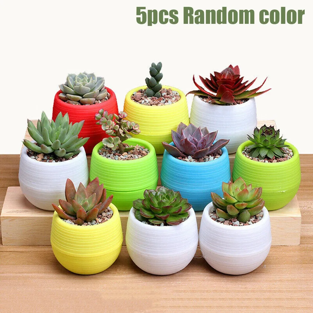 

Water Absorbing Flower Pots Plant Pot Garden Home Decor Mini Mixed Colors Resin