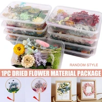 pressed flower mixed dried flowers diy art floral decors collection gift craft diy home ac889