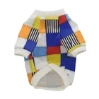 Дизайнерская одежда для собак, свитшот с радужным принтом для маленьких собак на весну и осень, Тедди, французский бульдог, роскошная одежда для щенка