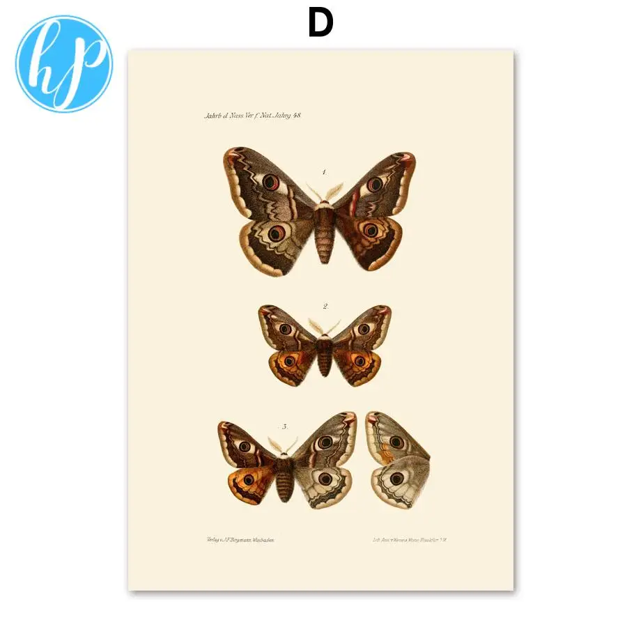 

Noble Dead Leaf Butterfly Animal Poster Nordic Style Waterproof Ink Canvas Print Painting Modern Living Room Bedroom Decoration