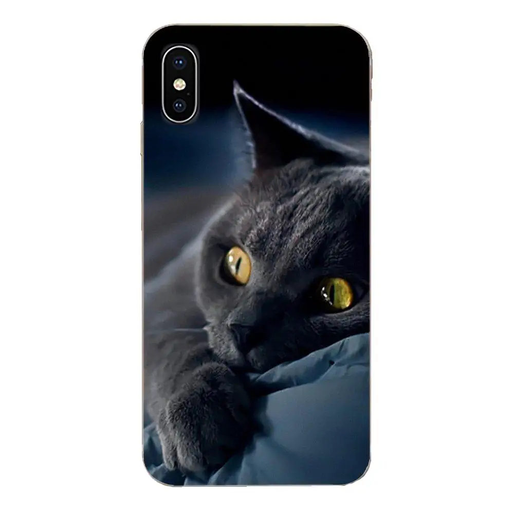 Gray Cat Lovely Animal Soft Tpu Phone Case For Sony Xperia Z Z1 Z2 Z3 Z4 Z5 compact Mini M2 M4 M5 T3 E3 E5 XA XA1 XZ Premium | Мобильные