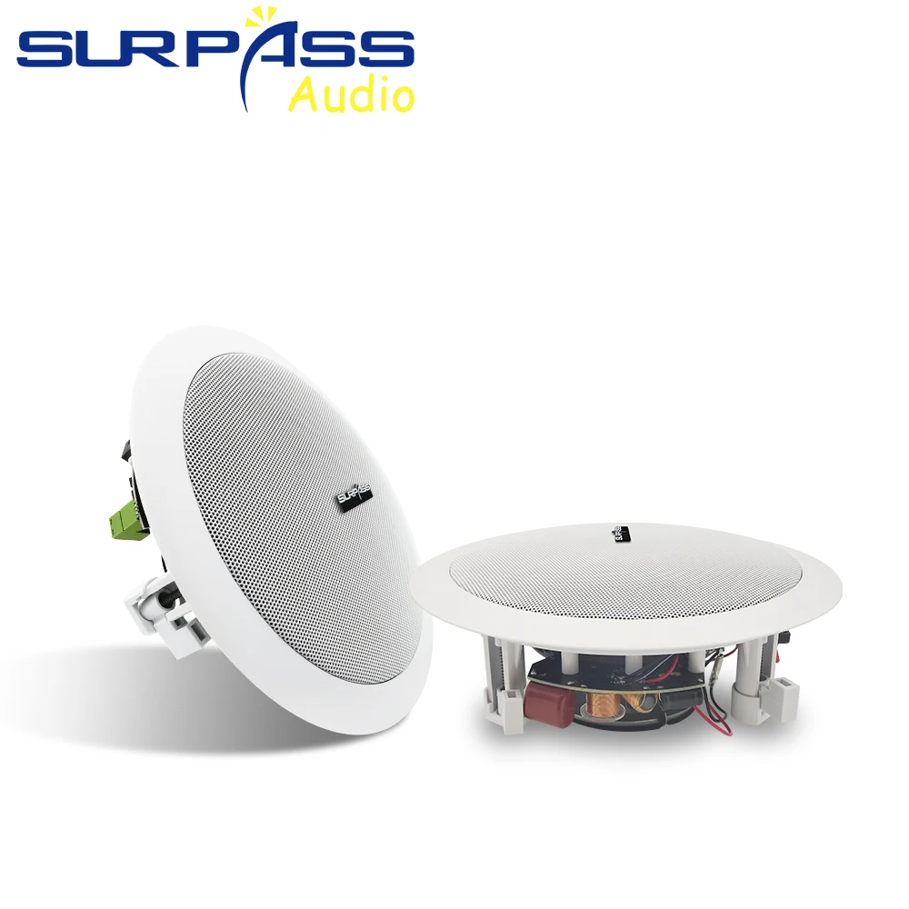 Bluetooth Активный Беспроводной потолочный динамик Встроенный усилитель класса D в