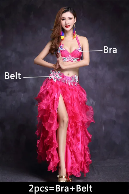 Rose Red 2pcs Высокое качество танец живота костюм юбка для танца живота танцевальное платье Топ Бюстгальтер Болливуд Египетский Восточный танец одежда для взрослых женщин Новинка - Цвет: Rose Red 2pcs