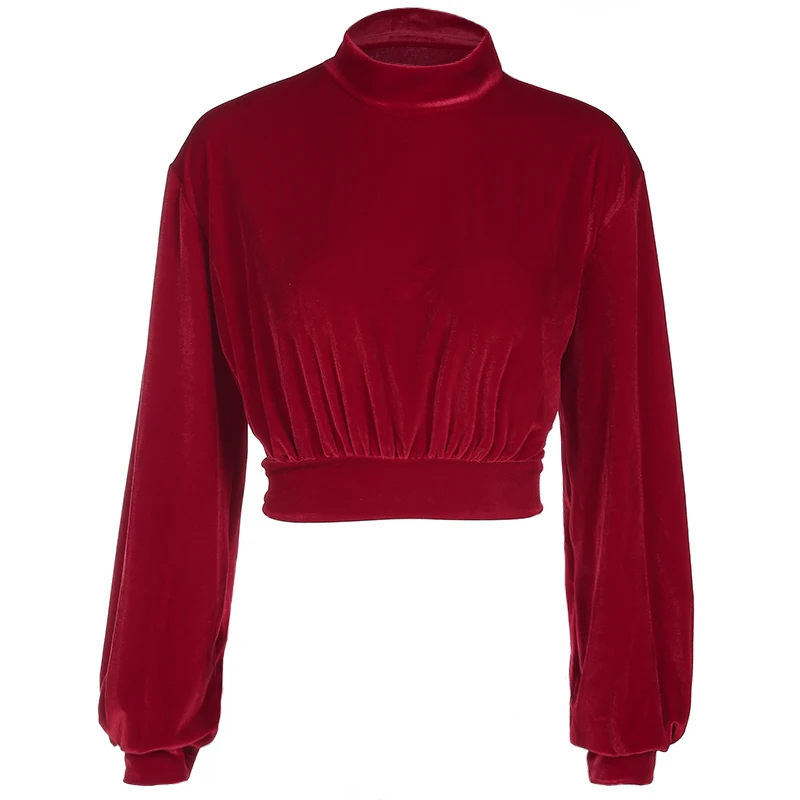 

Z-ONE New Autumn 2020 Velvet Women Sweatshirts Vintage Turtleneck Basic Crop Sweatshirt Long Sleeve Casual Womens Pullover Tops