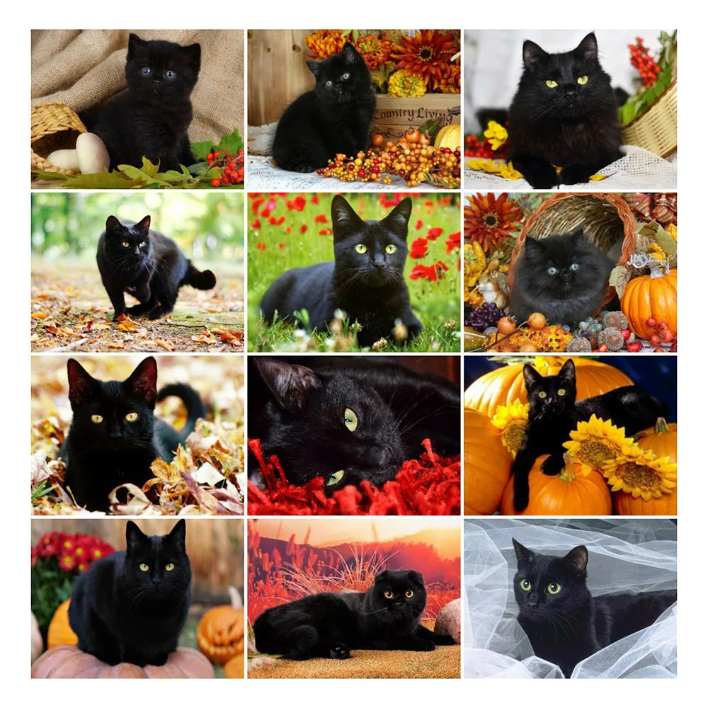 

Набор для алмазной живописи стразы, 5d мозаика с вышивкой в виде черного кота, ручная работа, подарок для домашнего декора