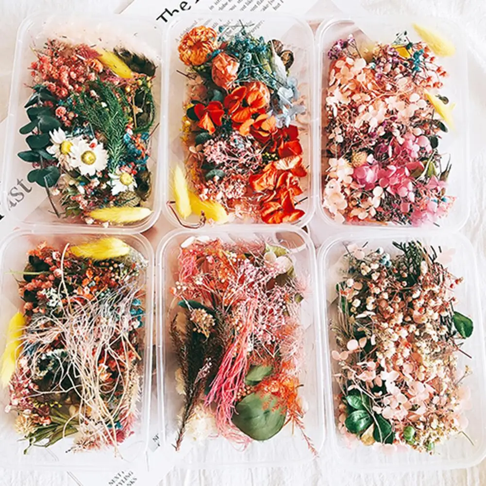 Лидер продаж 1 коробка смешанные консервированные искусственные сушеные