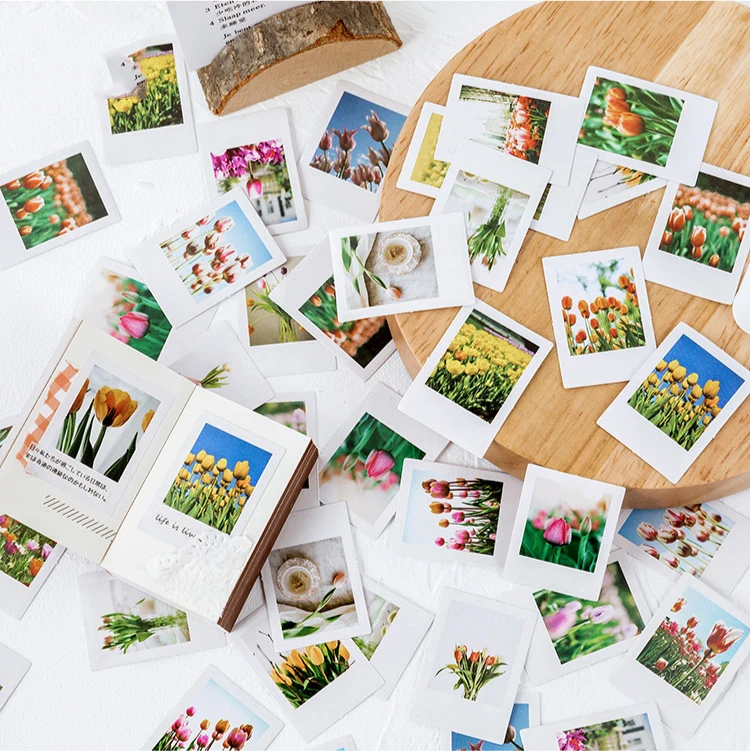 44 шт тюльпан фото дизайн стикер как подарок тег на день рождения украшения