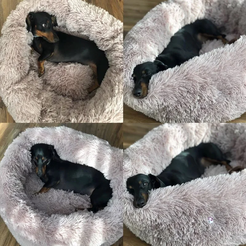 Круглая плюшевая кровать для кошек и собак | Дом сад