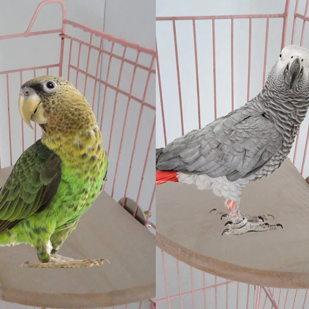 Жердочка для птицы подставка на платформе деревянный окунь птица платформа