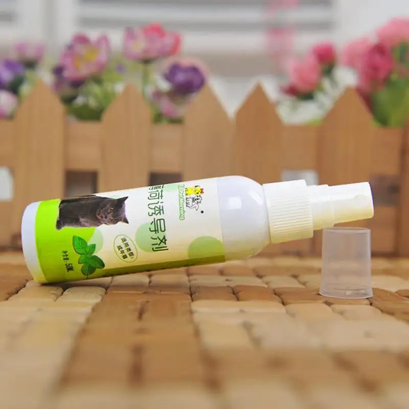 Спрей для кошачьей мяты игрушка возбуждения кота органический натуральный