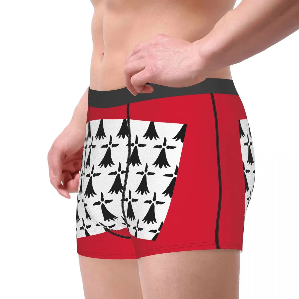 Flag Of Limousin Men's Boxer Briefs Flags of the regions of France Funny Sarcastic elastic pants for men