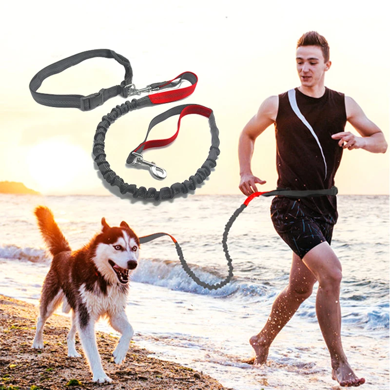 Спортивный поводок для собак ремень бега свободная ручка светоотражающая