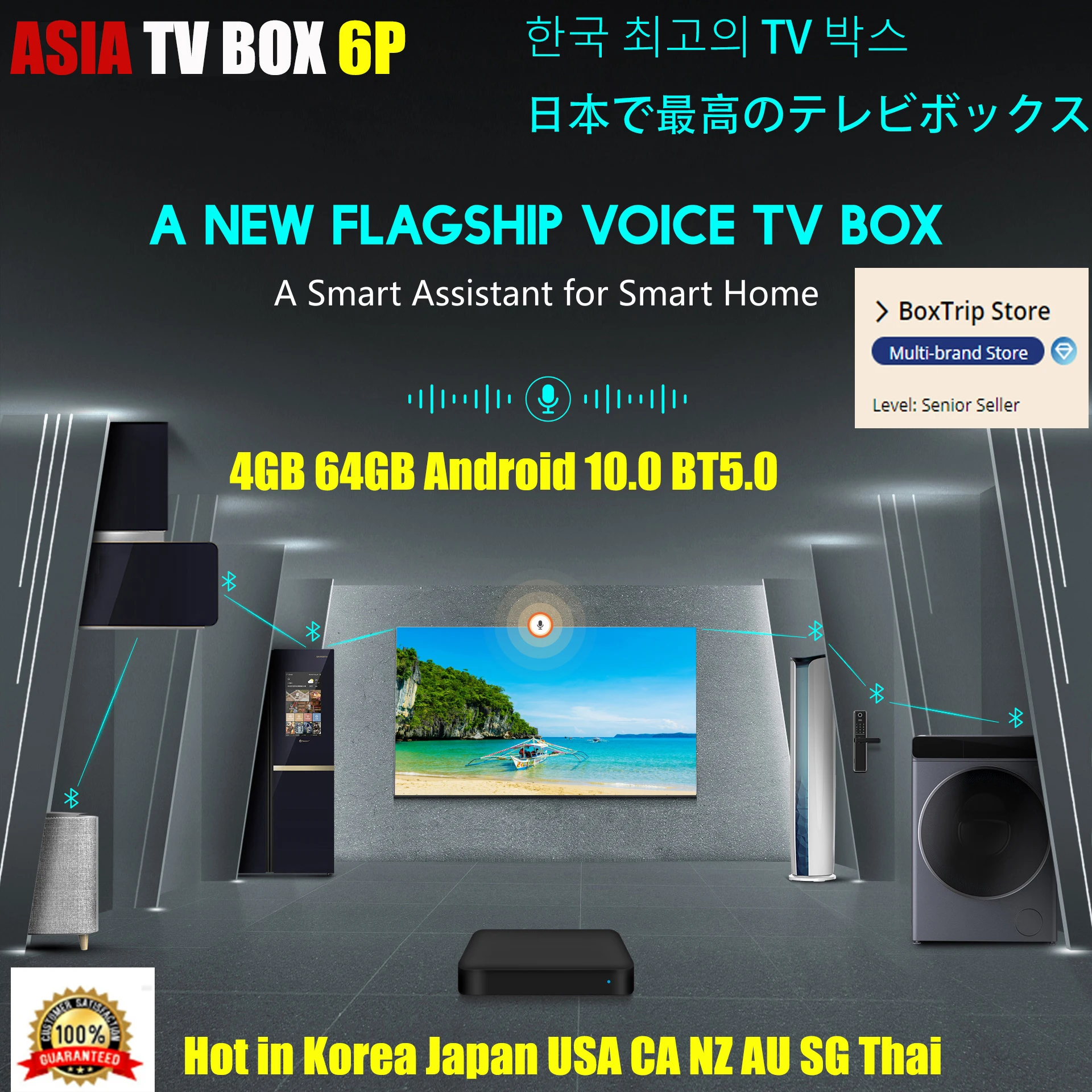 Новинка 2021 оригинальный флагманский ТВ бокс из Азии 6P AI VOICE двойной Wi Fi 4 ГБ 64 android 10