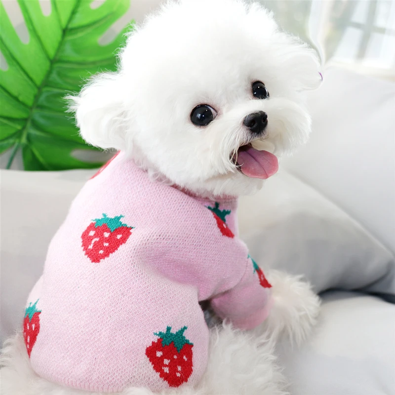 Autumn/Winter Pet Strawberry Print Sweater Small Dog Cat Teddy Bichon Hiromi Schnauzer Yorkshire Poodle Clothes | Дом и сад