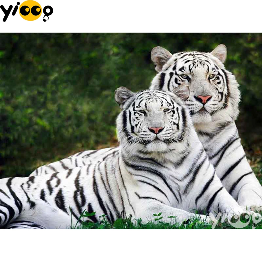 

Full Square/Round Drill Diamond Painting Cross Stitch Embroidery White tiger Family Rhinestone Mosaic Home Decor Gift BX2268