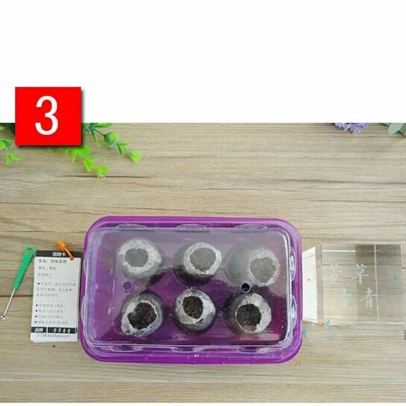 30 мм садовые цветы посадка почвенный Блок Круглый торф гранулы стартовые пробки