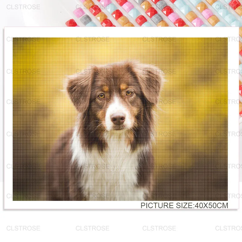 

Diy Diamond Painting Dog Gift Holding Newspaper Home Decoration Sticker Diamond Embroidered Square Diamond Round Diamond