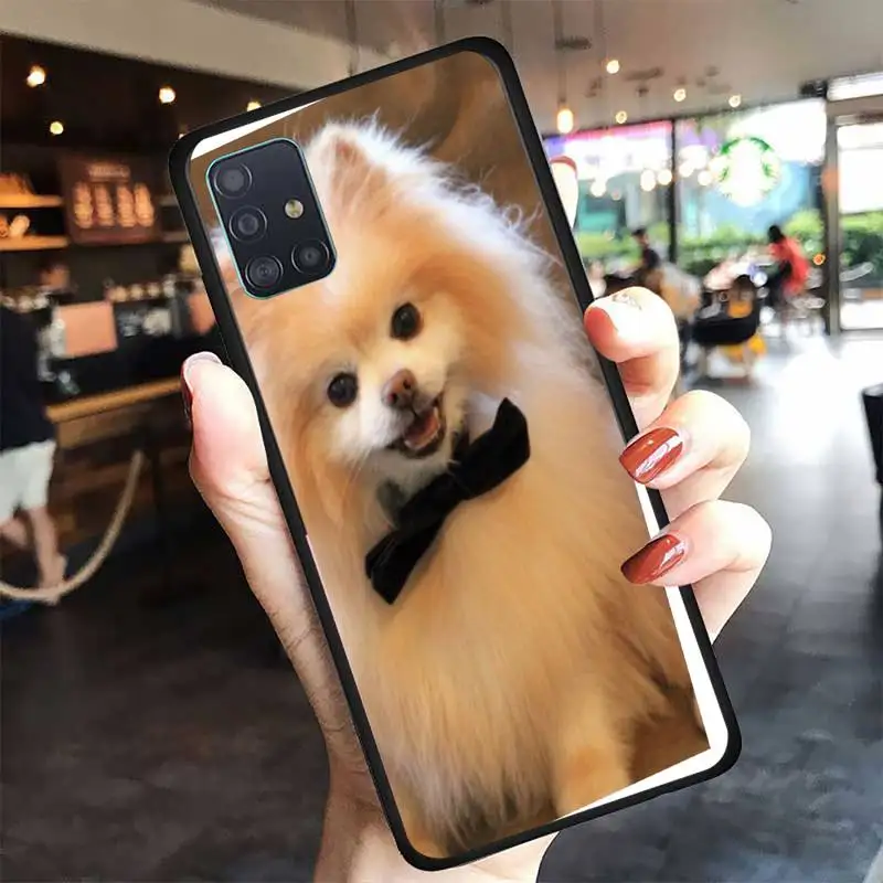 

Yinuoda Pomeranian dogs dog Colorful Cute Phone Case For Samsung A6 A7 A8 A10 A11 A20 A21 A30 A31 A40 A50 A70 A80 A91 Plus S E