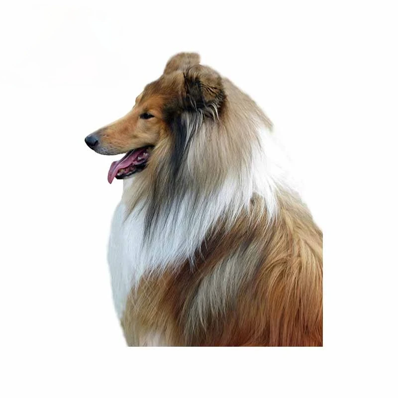 

OFK for Dog Rough Collie Car Stickers and Decals Vinyl Personality Scratch-proof Decals 3D Window Car Wrap 13cm X 10.5cm