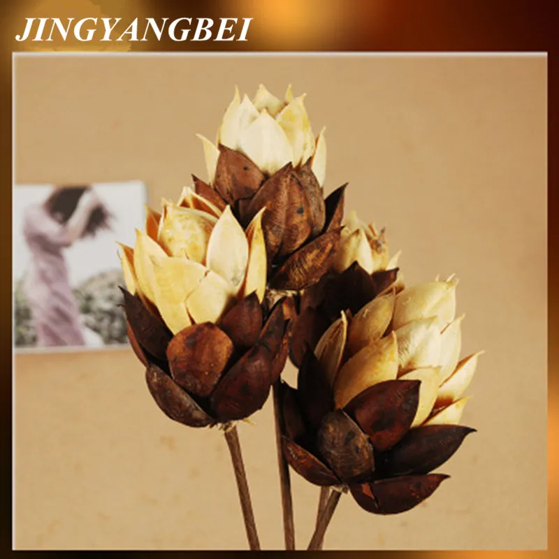 Sycamore Натуральные сушеные цветы ручной работы украшение для дома гостиной