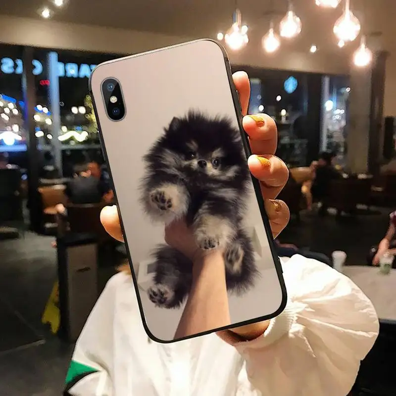 

Pomeranian dog Cute pet Phone Case for iPhone 11 12 pro XS MAX 8 7 6 6S Plus X 5S SE 2020 XR