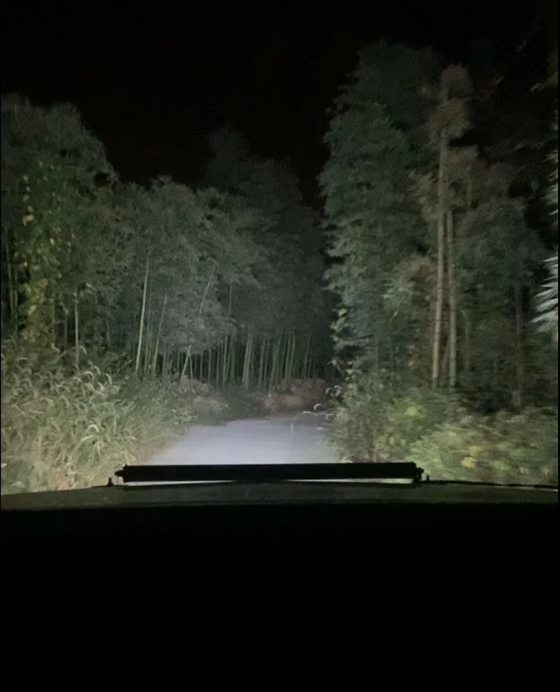 12 В 24 в тонкий светодиодный рабочий светильник для автомобиля, грузовика, головной светильник на крышу, бампер, противотуманная фара, Светодиодный точечный/прожектор, светильник для вождения, бар, внедорожный 4WD Точечный светильник s