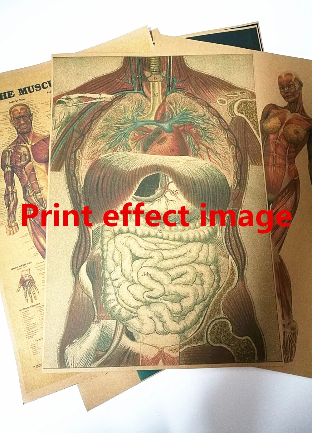 Абстрактный 3D человеческий человек Анатомия здоровье дизайн суставная боль