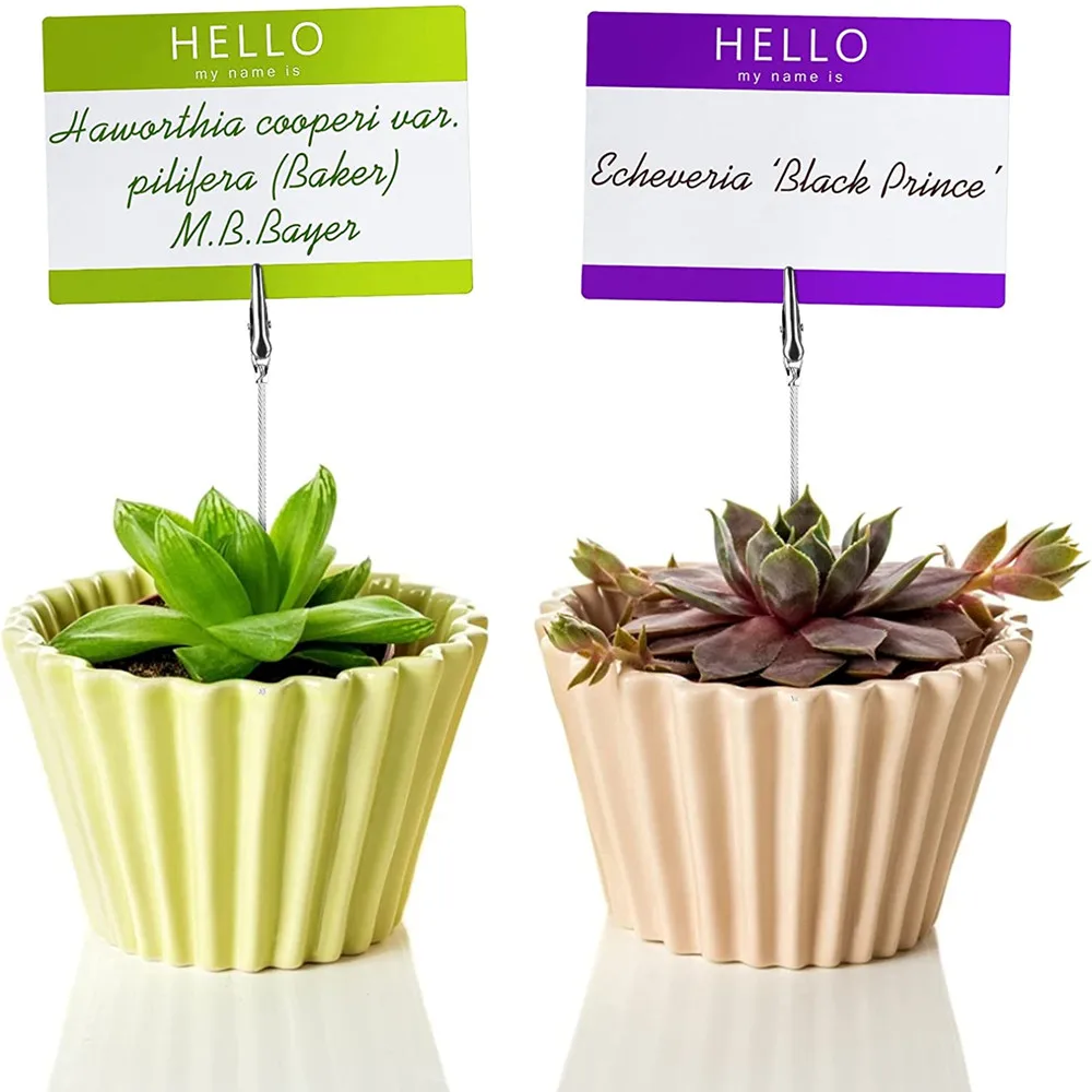 50/10pc Desktop Decoration Colorful Cube Stand Wire Desk Card Note Memo Photo Clip Holder Table Place Favor Office Supplies | Канцтовары
