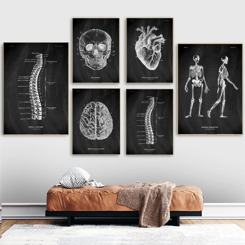 

Human Anatomy Artwork Medical Canvas Painting Skeleton Organ Muscle System Wall Art Poster Print Picture for Bedroom Home Decor