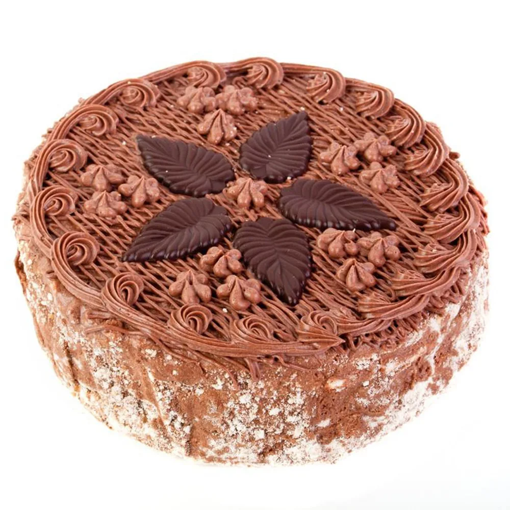 

14Pcs Reusable Icing Piping Nozzles Set Pastry Bag Cake Decorating Tools Scraper Flower Cream Tips Converter Baking Cup