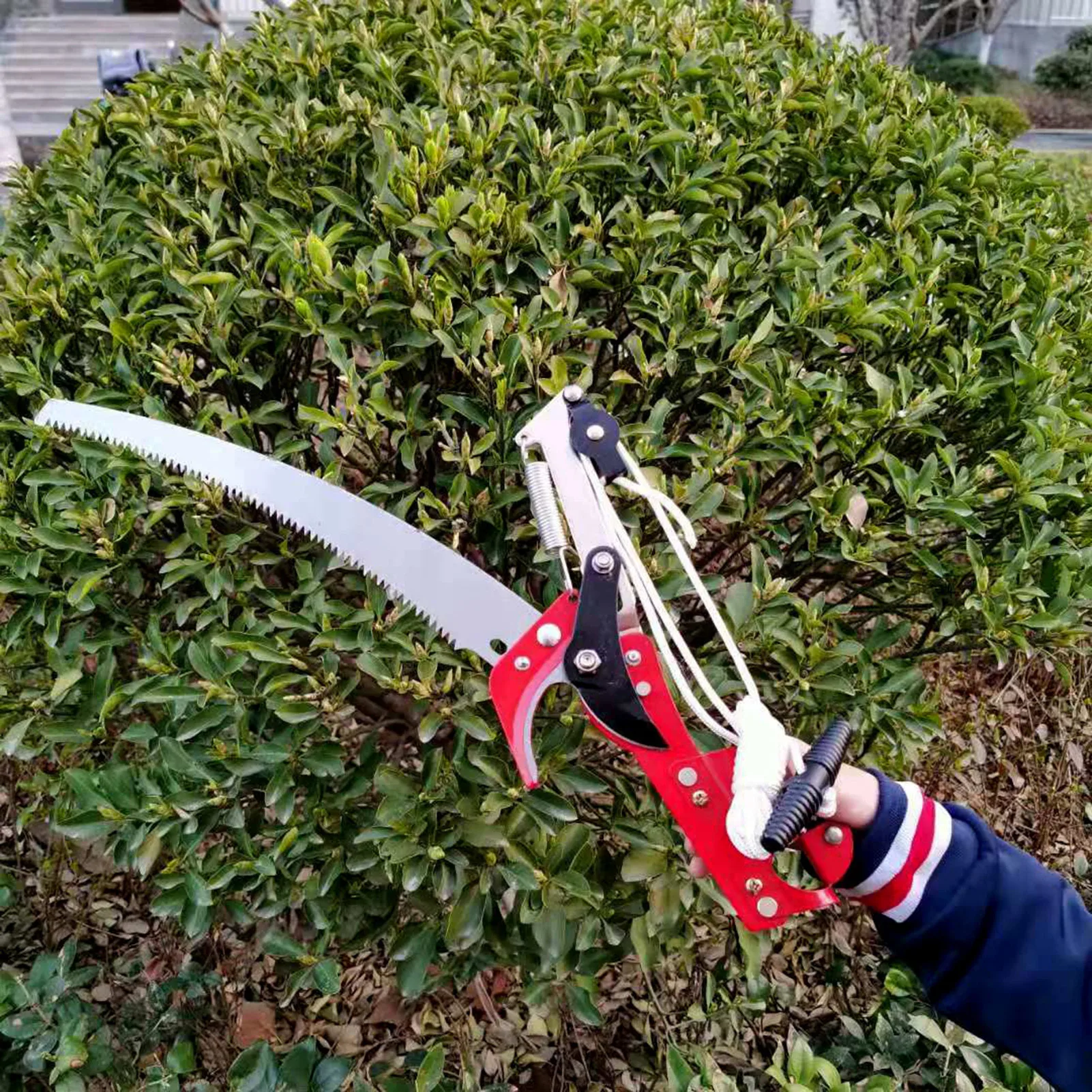 Купить Телескопическую Пилу Для Обрезки Деревьев