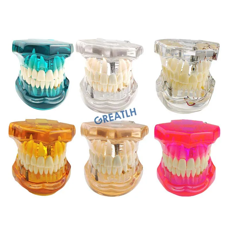 Оборудование для обучения стоматологическим заболеваниям стоматологический