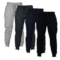 mens winter pants 2021 new fleece straight trousers mirco sweatpants casual loose hip streetwear pants men