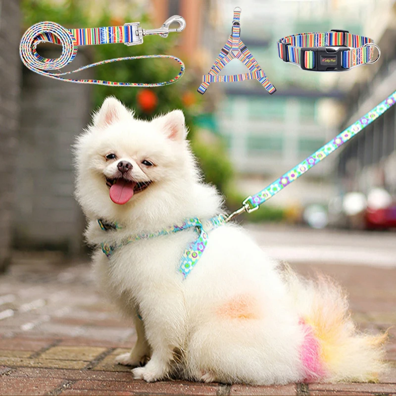 

Dog Collar Leash Harness Set For Small Dogs Print Nylon Adjustable Soft Breaable Dogs Collar Colourful Puppy Set Dog Accessories
