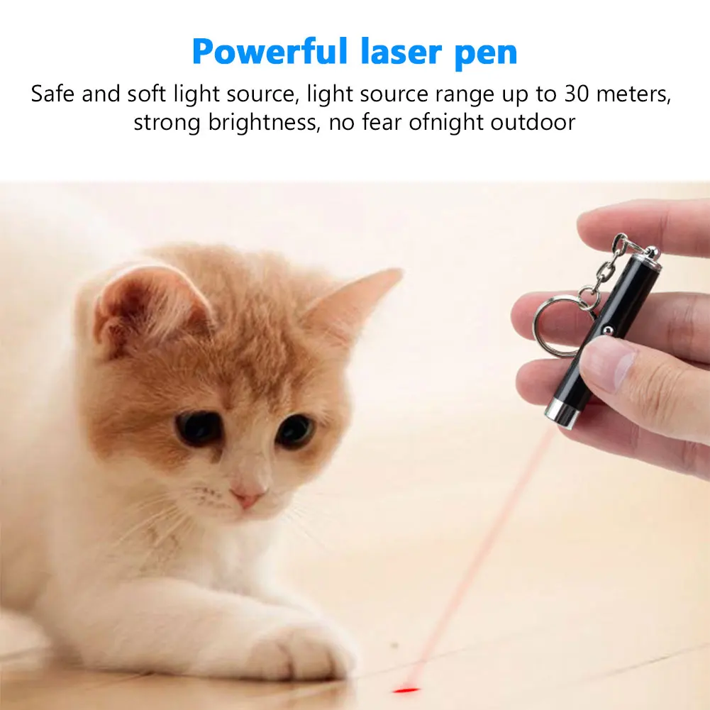 2 In 1 Laser Lazer Pointer Pen 650nm Red + White LED Torch Flashlight Light Beam Laserpointer With Keyring YCDC |