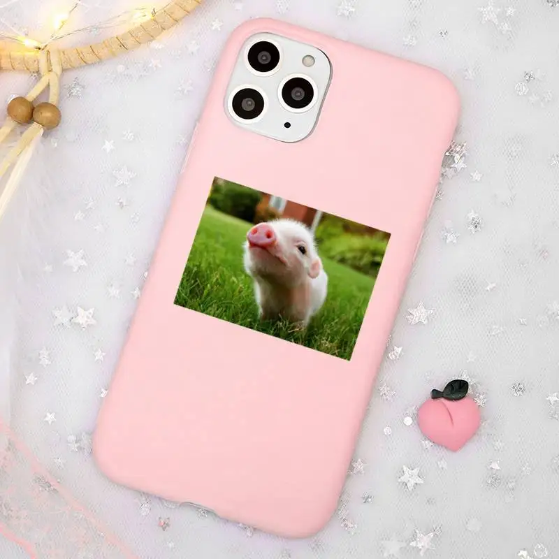 

Cute Little Pink Pet Pig Phone Case Candy Color for iPhone 11 12 mini pro XS MAX 8 7 6 6S Plus X SE 2020 XR