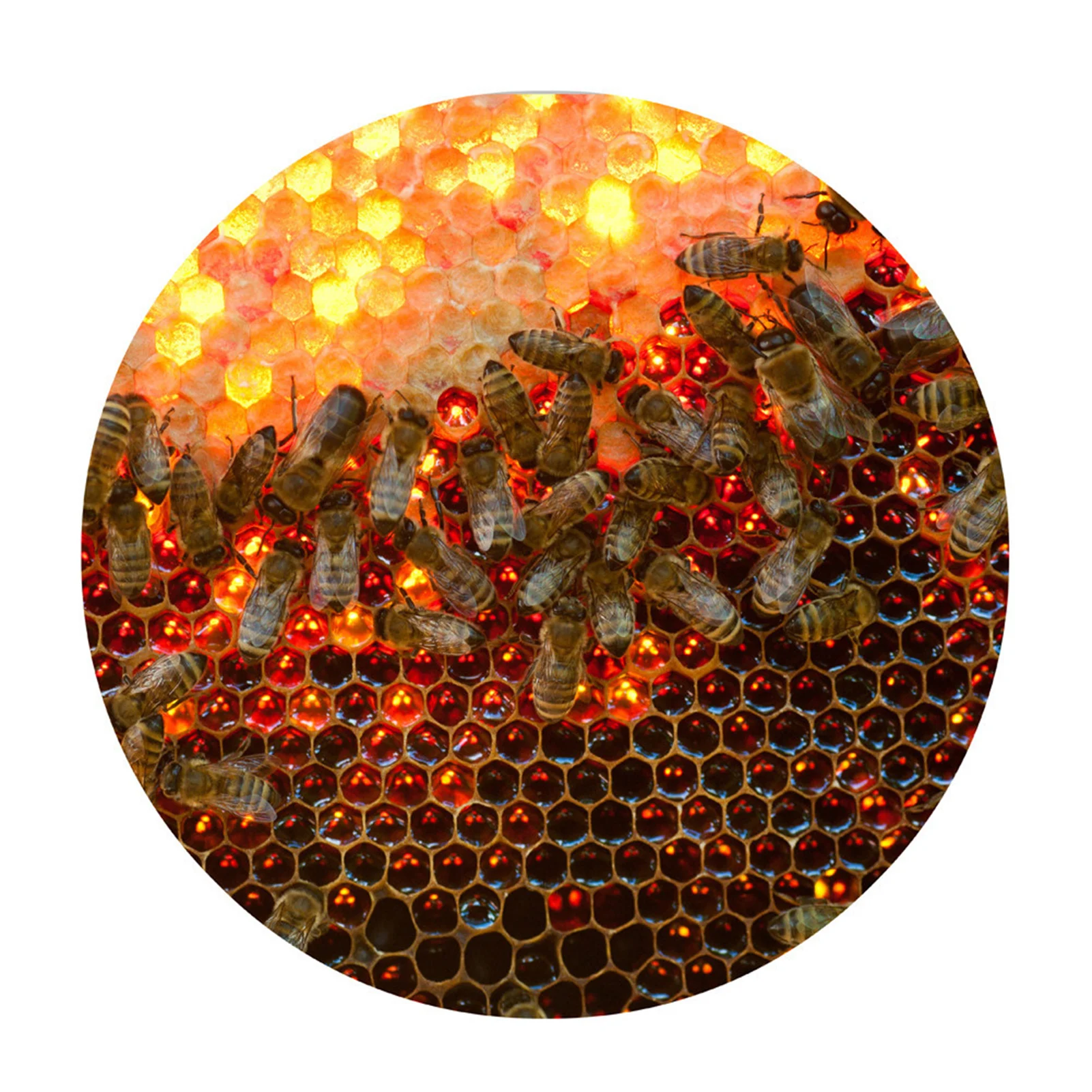 Модные соты ковры коврики пчелы печати пол Mattextile для дома ванной спальня