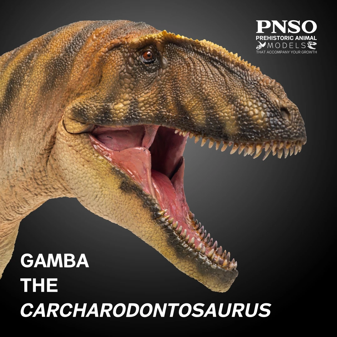 PNSO доисторические модели динозавров: 50 Gamba The Carcharodontosaurus |