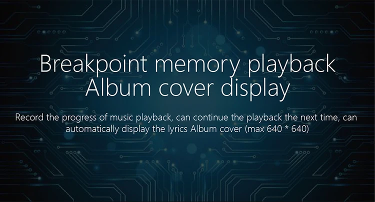 XDUOO D3 Профессиональный музыкальный MP3 HIFI музыкальный плеер с HD OLED экраном Поддержка APE/FLAC/ALAC/WAV/WMA/OGG/MP3