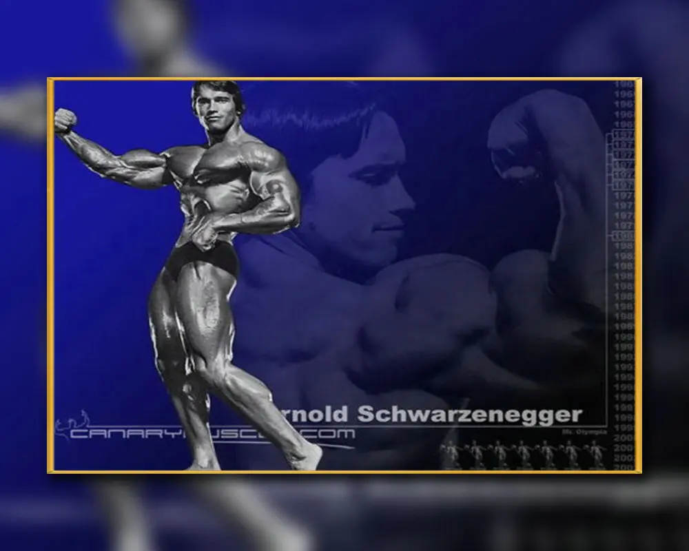 A53 Шелковый плакат украшения дома Арнольд Шварценеггер бодибилдинг сильные